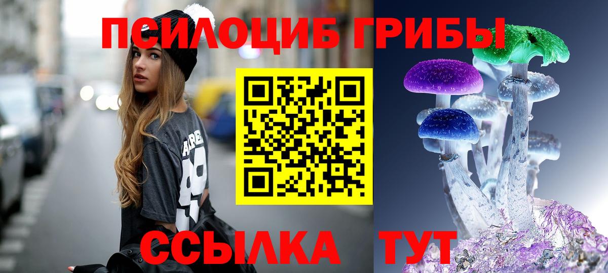 Галлюциногенные грибы мухоморы  Псилоцибиновые грибы MAGIC MUSHROOMS  Вход с VPN  Кизилюрт 