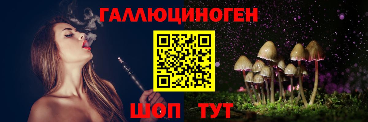 Галлюциногенные грибы Psilocybine cubensis Кизилюрт